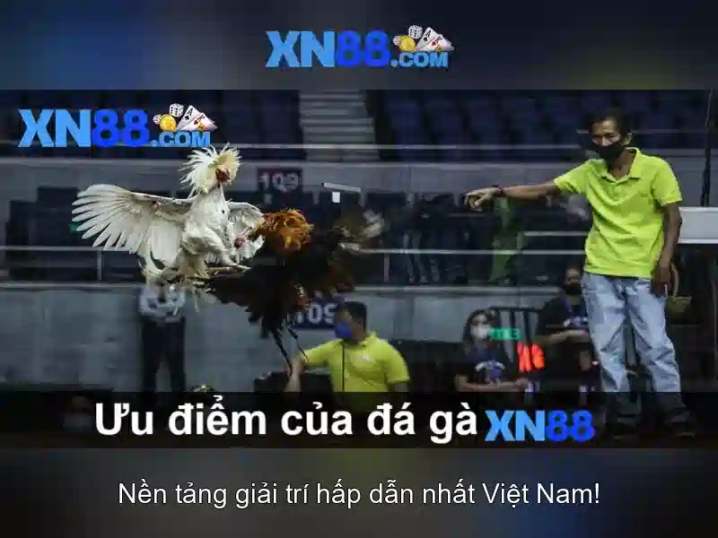 💎gói cước internet viettel cà mau💎