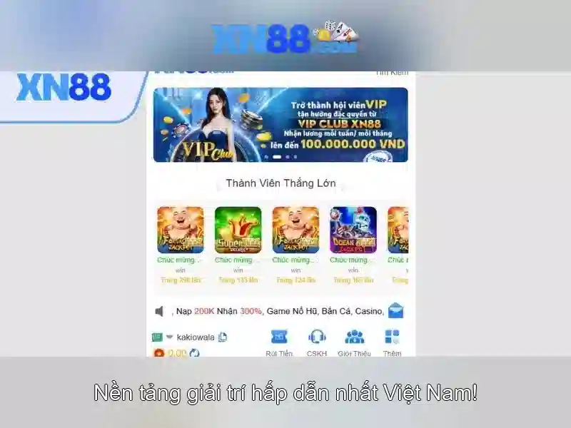 💎nửa cuộc đời cả tâm trí vietsub💎
