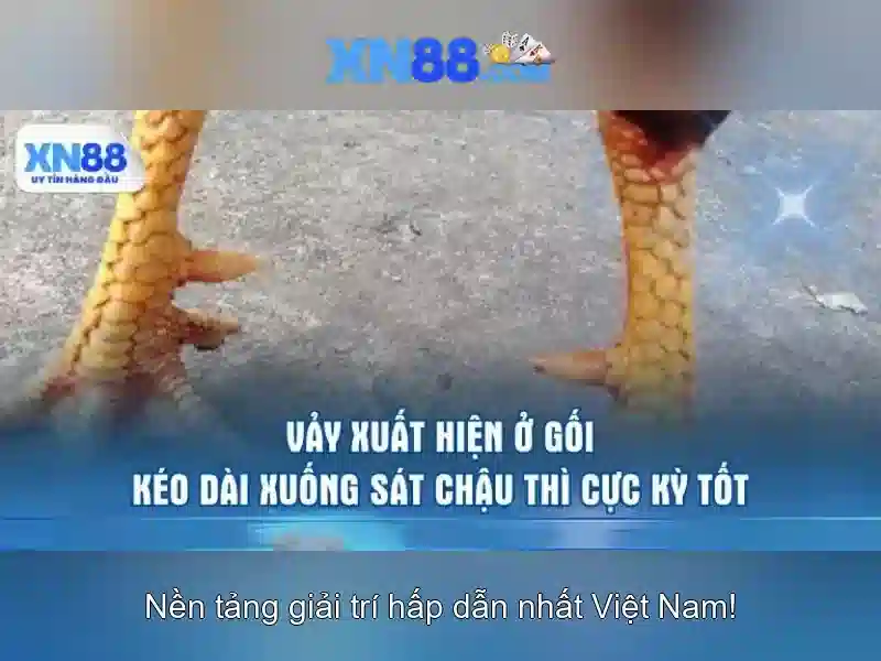 💎moonshine riches slots💎