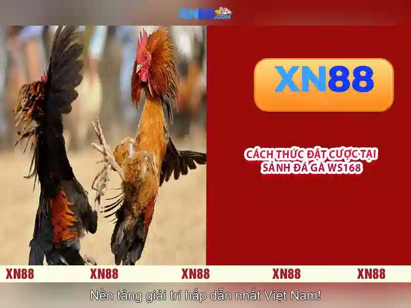 💎máy bay cá cược💎