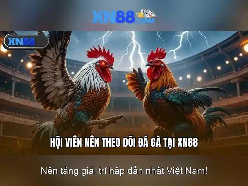 💎bí danh bác hồ ở thái lan💎