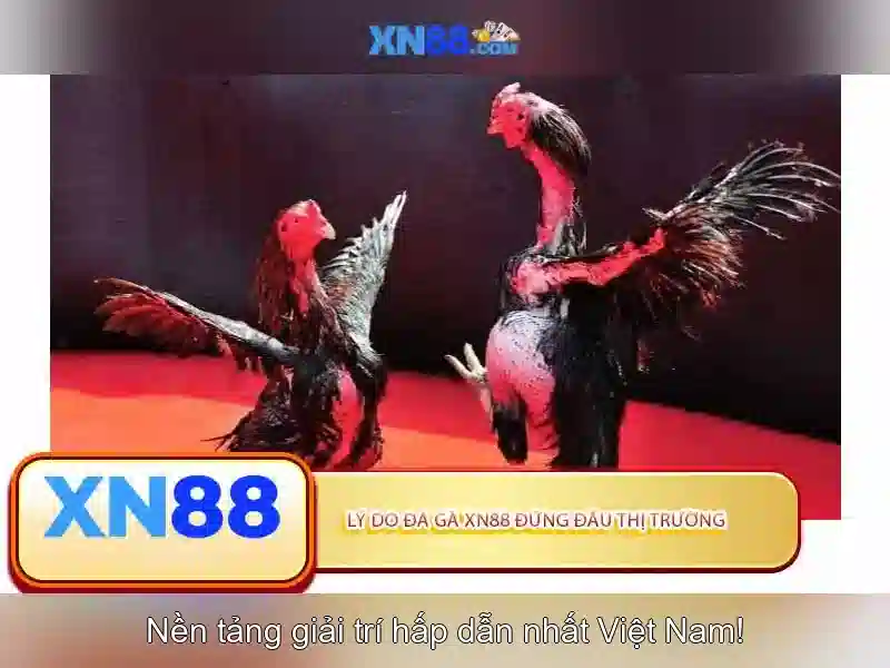 💎xn88 nổ hũ💎 - ap xn88 - xn88 casino