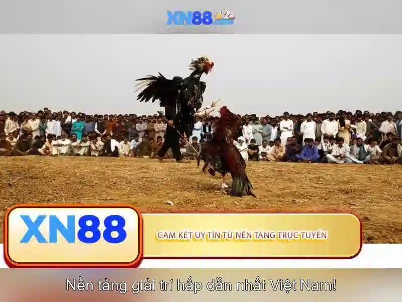 💎sites like dr slot💎