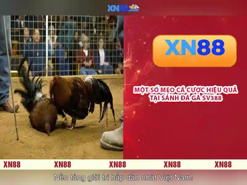 💎888 slot city game💎