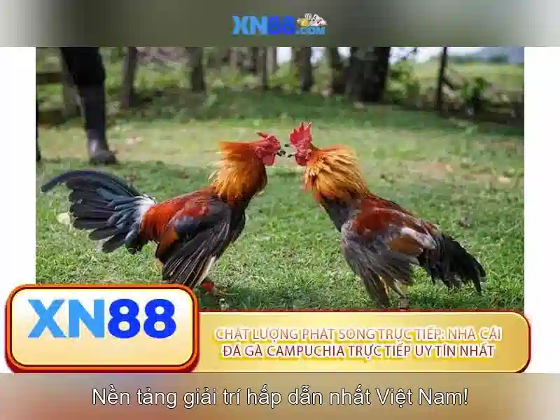 💎nhà cái uy tín casinohub💎