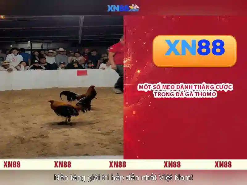 💎888slot acb.com💎