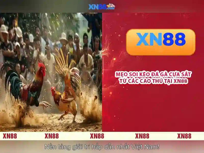 💎m88 trang web cá cược💎