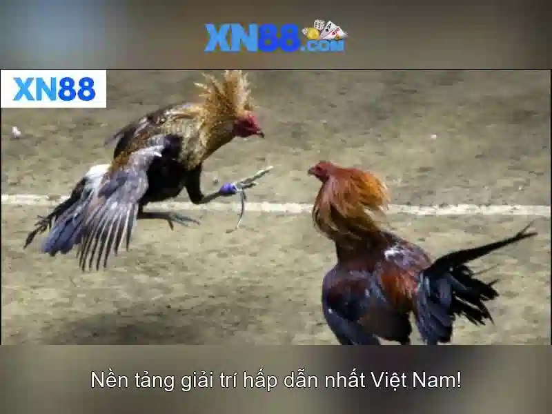 💎uk slot site most likely to win on💎