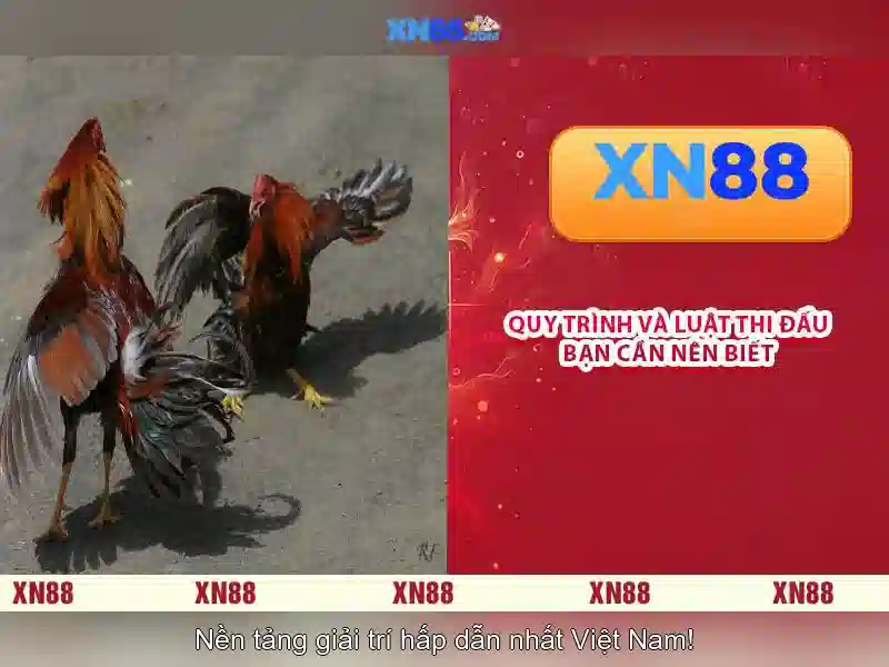  game trực tuyến - XN88