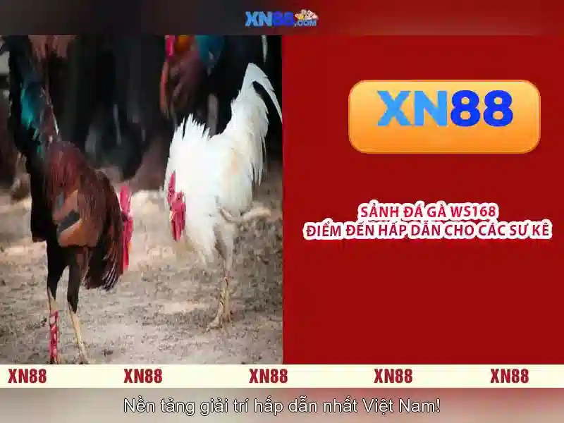 💎bingo slots real money💎