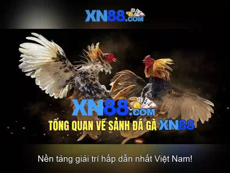 XN88 - Cơ Hội Nổ Hũ Slot Đỉnh Cao Cho Người Chơi 2026 - XN88