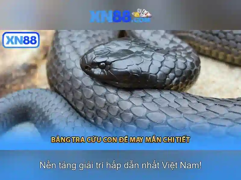 💎agen slot murah💎