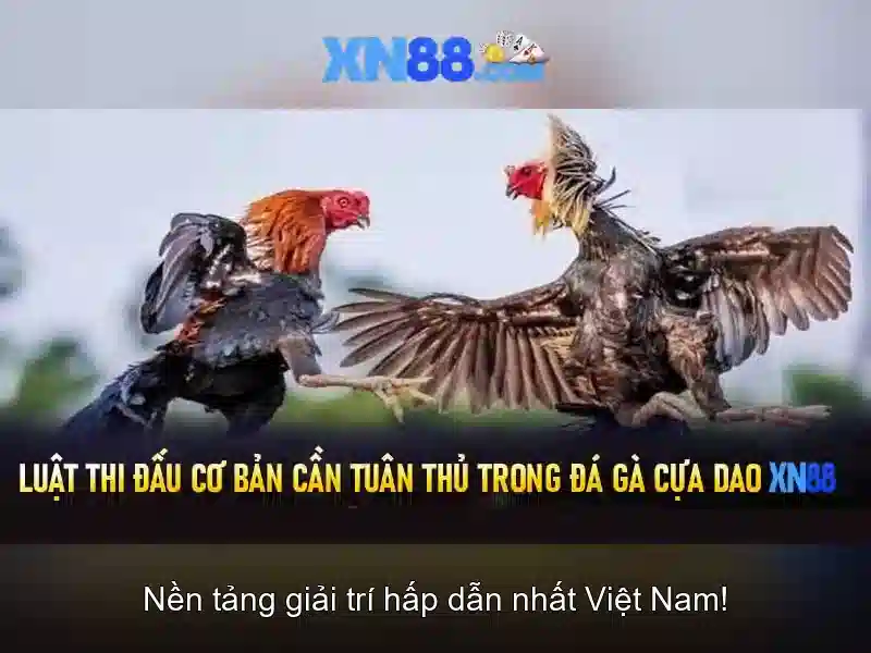 💎xn88 com hà nội💎