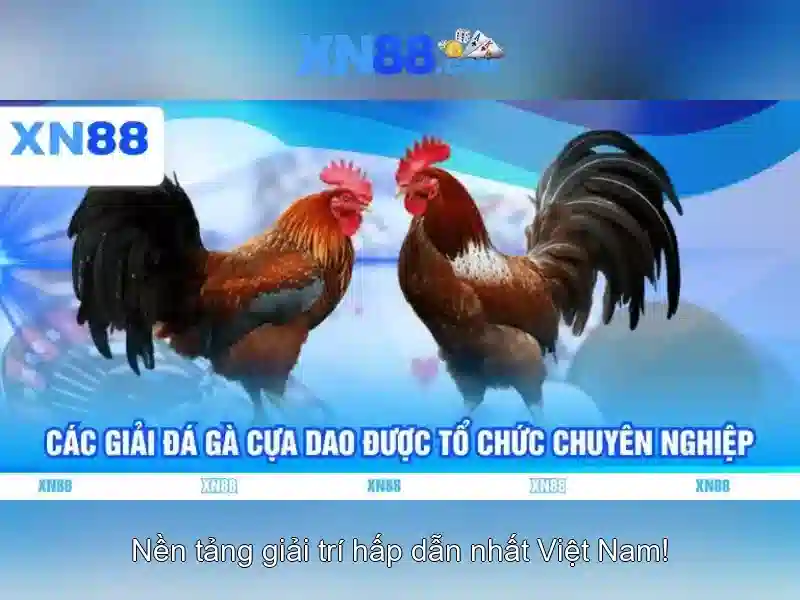 💎lucky number 888 slot💎