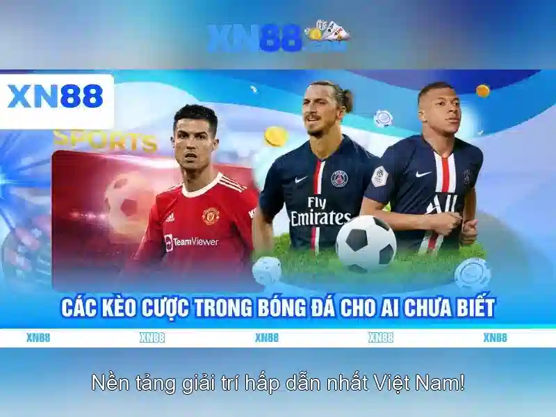 💎quy hoach bo ke song cai nha trang💎