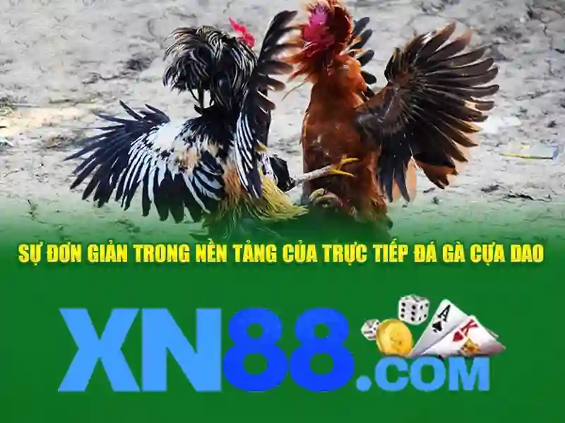 💎kèo nhà cái dự đoán💎